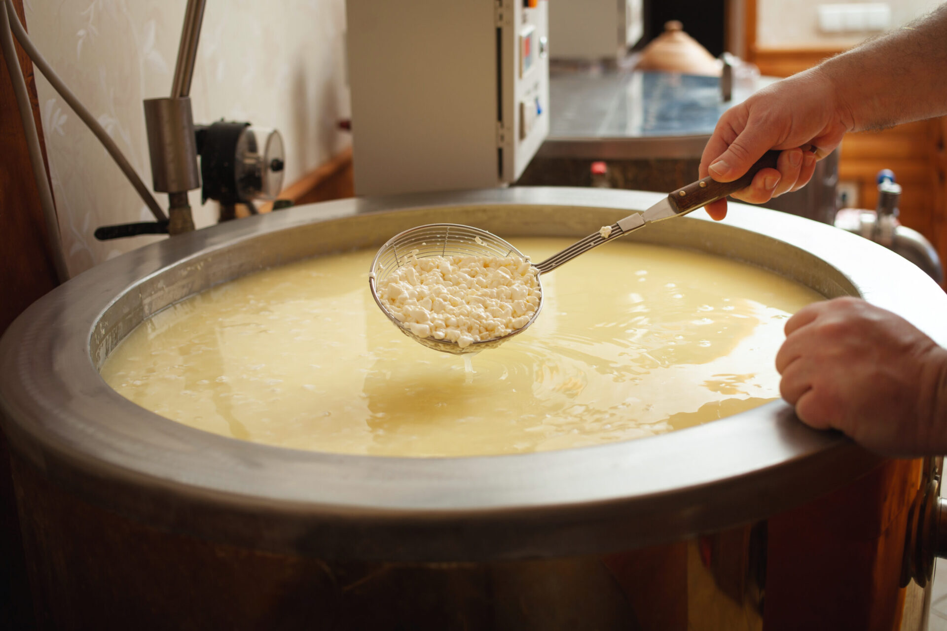 Cheese production from milk, home business, food, eco-friendly and tasty products. Serum in a vat. cooking